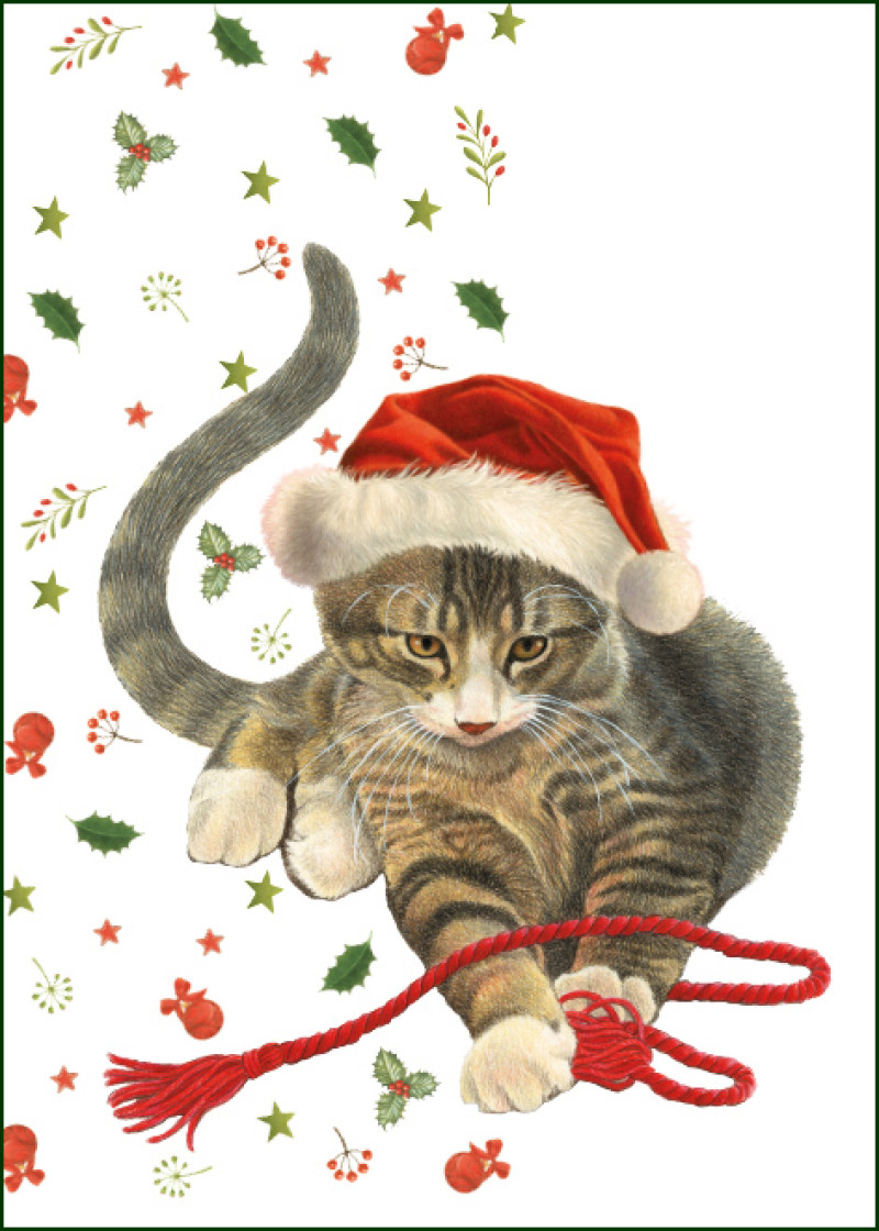 Franciens Katten wenskaart KERST