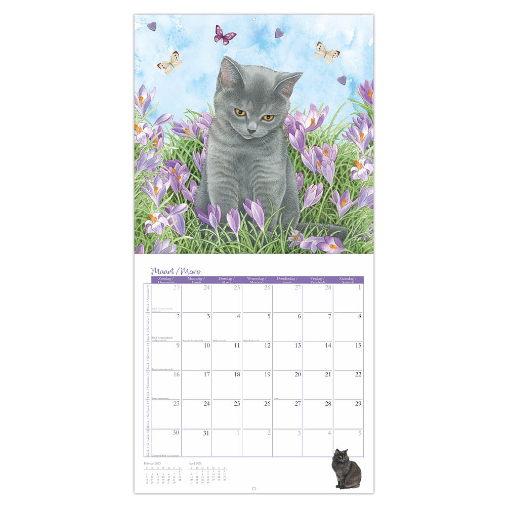 Franciens Katten kalender (PLENTY GIFTS) 2025