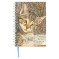 Franciens Katten Luxe spiraalagenda EVI 2026