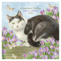 Franciens Katten kalender (261047) 2026