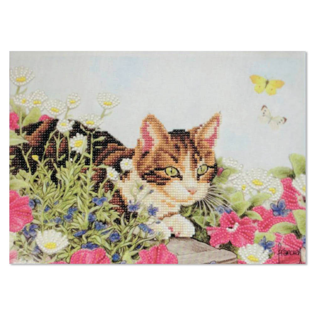 Franciens Katten Diamond Painting 2025/1001