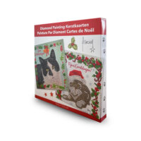 Franciens Katten Diamond Painting Kerstkaart 2024/1031