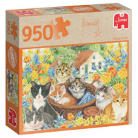 Franciens Katten puzzel FARM CATS