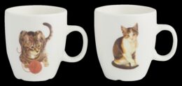 Franciens Katten set van 2 koffiemokjes