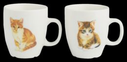 Franciens Katten set van 2 koffiemokjes