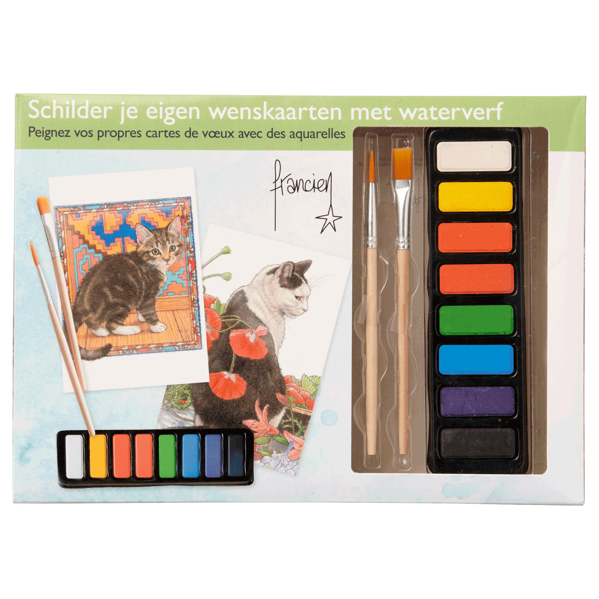 Franciens Katten aquarel kaarten maak set