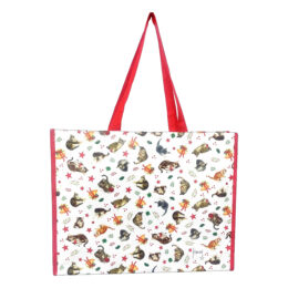 Franciens Katten bigshopper