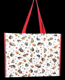 Franciens Katten bigshopper