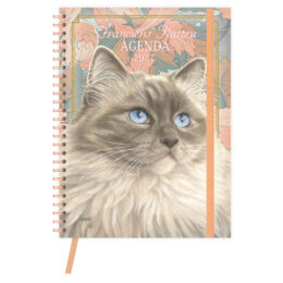 Franciens Katten Ringband bureau-agenda (HARDE KAFT) BLUE 2027