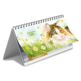 Franciens Katten Desk kalender 2027