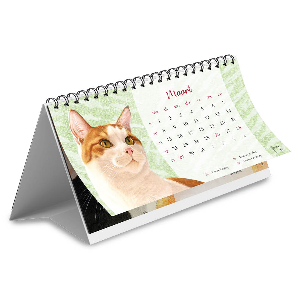 Franciens Katten Desk kalender 2027 - Afbeelding 2