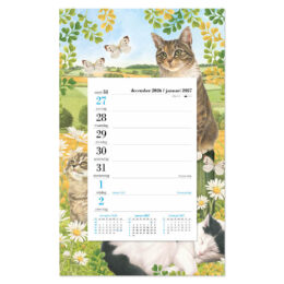 Franciens Katten Weeknotitie op schild Katten en Vlinders 2027
