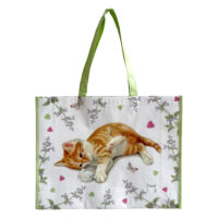 Franciens Katten bigshopper