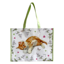 Franciens Katten bigshopper
