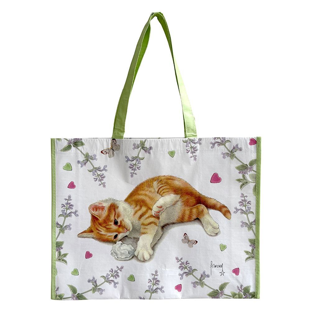 Franciens Katten bigshopper