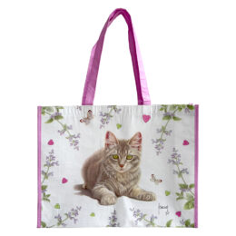 Franciens katten bigshopper