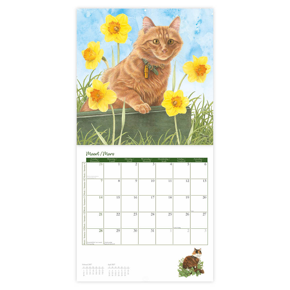 Franciens Katten kalender 2027 - Afbeelding 3