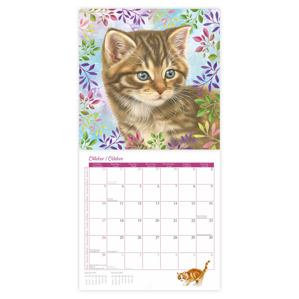 Franciens Katten kalender 2027 - Afbeelding 4
