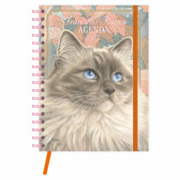 Franciens Katten Ringband bureau-agenda (HARDE KAFT) BLUE 2027