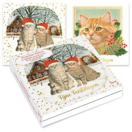 Franciens Katten kerstkaartenmapje / Katten in de sneeuw - Jeroen